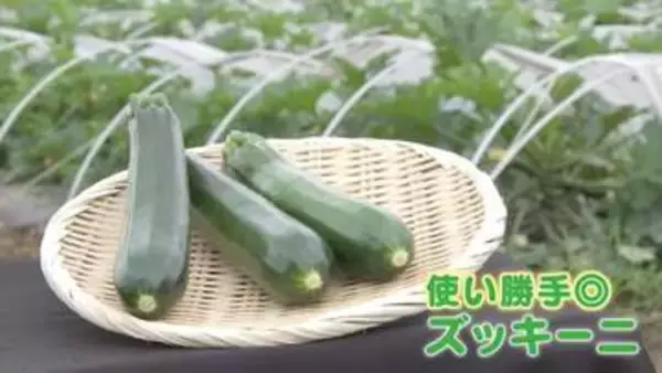 今が旬のズッキーニ！「安さ」「手軽さ」からいまや“国民食”にも？ プロが教える“美味しく食べるレシピ”とは