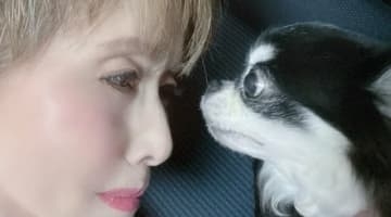 【 小柳ルミ子 】　亡き愛犬への想い　「ルルたんの話をすると　まだ　まだ　まだまだ　涙が出ます」　ブログに綴る