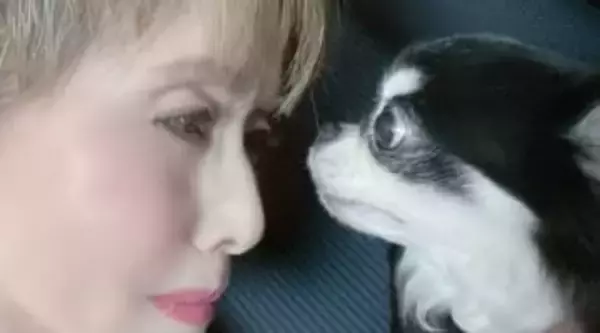 【 小柳ルミ子 】　亡き愛犬への想い　「ルルたんの話をすると　まだ　まだ　まだまだ　涙が出ます」　ブログに綴る