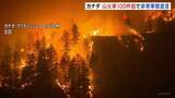 「カナダ西部で山火事100件超発生…半数近くが「制御不能な状態」 非常事態宣言発令」の画像1