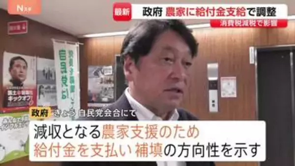食料品の消費税減税をめぐり農家に給付金を検討　政府