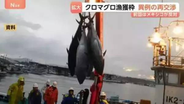 太平洋のクロマグロ漁獲枠「拡大」で合意 異例の交渉再開で“日本の提案に近い形”に　11月末に最終決定へ