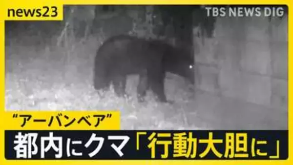 東京住宅街に“体長1m以上”のクマ出没「段々と行動大胆に…」生活圏に徐々に近づく“アーバンベア”対策グッズの最前線は？【news23】