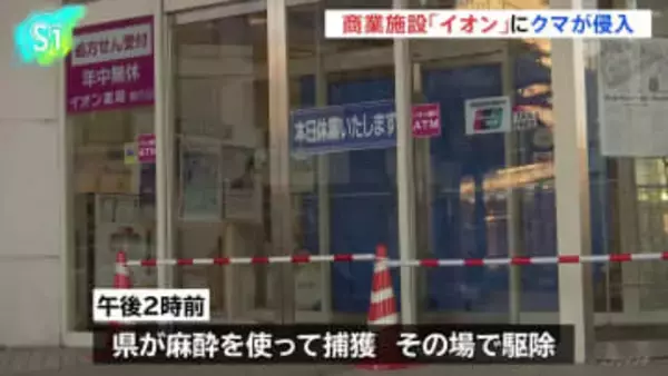 秋田・能代市で商業施設「イオン」にクマが侵入、従業員が閉じ込め 県が捕獲し駆除