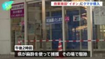 秋田・能代市で商業施設「イオン」にクマが侵入、従業員が閉じ込め 県が捕獲し駆除