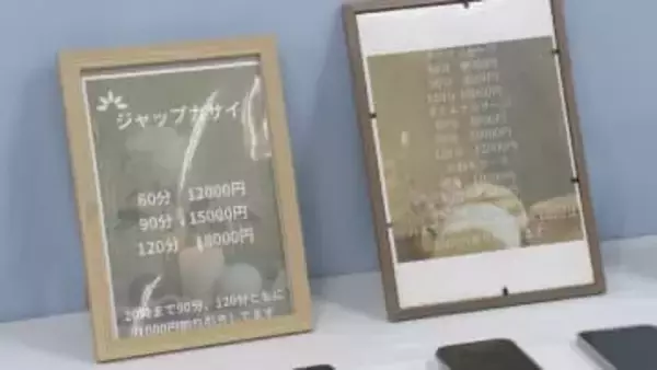 タイ国籍当時12歳の少女に買春をあっせんか マッサージ店の経営者の男とブローカーとみられる女の2人を追送検　警視庁