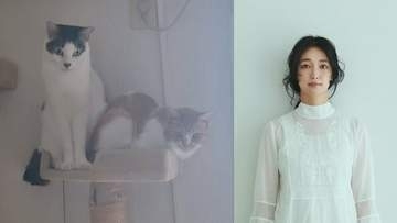 【 入山法子 】「誕生日を迎えました」愛猫2頭と「我が家は今日も平和です」感謝と抱負　被災地にも思い寄せる