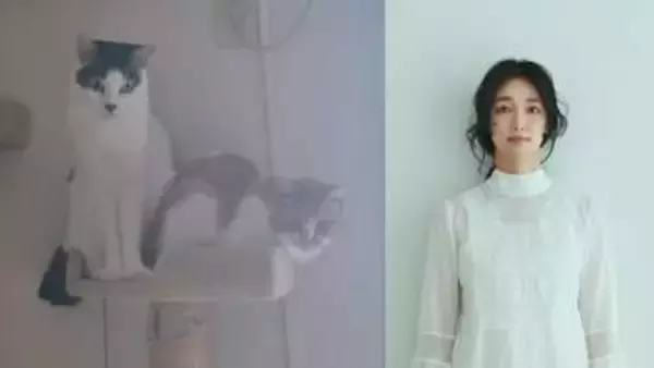 【 入山法子 】「誕生日を迎えました」愛猫2頭と「我が家は今日も平和です」感謝と抱負　被災地にも思い寄せる