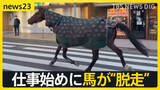 「【2026年本格始動！】初競りで「一番マグロ」史上初5億円超え…午年の仕事始めに馬が“脱走”…街は一時騒然【news23】」の画像1