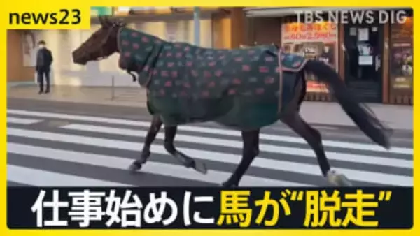 【2026年本格始動！】初競りで「一番マグロ」史上初5億円超え…午年の仕事始めに馬が“脱走”…街は一時騒然【news23】