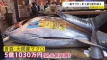 【2026年本格始動！】初競りで「一番マグロ」史上初5億円超え…午年の仕事始めに馬が“脱走”…街は一時騒然【news23】