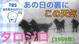 「極限の気象が紡いだ奇跡　タロ・ジロと南極の空【気象予報士・森朗のお天気タイムマシン】」の画像1