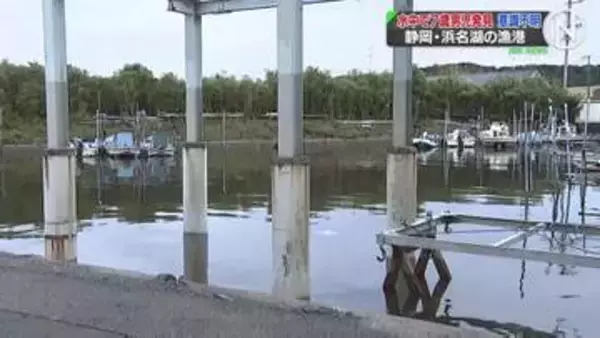 母親が水中に沈む7歳男児を発見し救助　搬送時意識不明　静岡・浜名湖の漁港