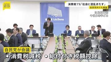 「社会に混乱をきたす」食料品の消費税1％案に自民党内からも異論相次ぐ