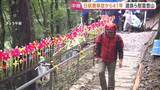 「「今年も来たよっていう気持ち」雨が降り続く中、遺族らが慰霊登山 520人が犠牲となった日航機事故から41年」の画像1