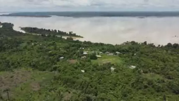 ブラジルのアマゾン、金などの採掘面積が39年間で20倍に　先住民への被害が深刻化