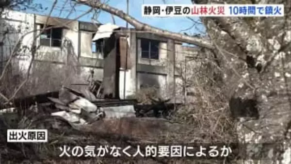 静岡・伊豆市の山林火災　10時間あまりで鎮火　現場付近には火の気なく人的要因によるか