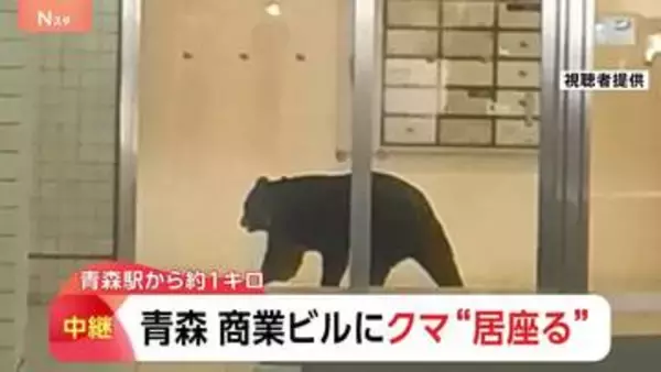 10人以上が取り残される　青森市内の商業ビルにクマ1頭が居座り　300m離れた駐車場でもクマ目撃…別の個体か　緊急銃猟も検討