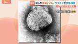 「去年すでに上回る「はしか」感染299人　都内小学校では「学年閉鎖」も　厚労省はワクチン2回接種を呼びかけ」の画像1