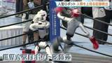 「人型ロボット・スポーツ大会　人類の世界記録を上回る記録続出　2000体以上のロボットが51競技で競い合う　中国・北京市」の画像1
