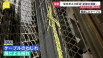 スカイツリーのエレベーター“閉じ込め”原因は「内部配線の損傷」 安全確認し26日からは営業再開【news23】