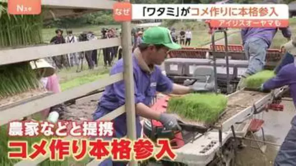 “異業種”がコメ作りに続々参入 安定的なコメ確保に向け「自社生産」へ　ワタミやアイリスオーヤマなど　一方で価格暴落への懸念も