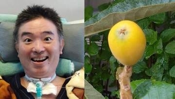【 ALS闘病 】声優・津久井教生さん　「鳥さんとらないでね♡」初めて育てるベランダの“びわ”の成長に喜び「しっかり口で味わいます」【ニャンちゅう】