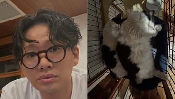 愛猫【 ミキ・亜生 】「寝相が同じ」ハチワレ兄弟の姿にフォロワー悶絶「可愛い」「シンクロ」「兆くんでっかい！」