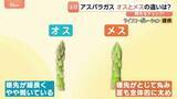 「「太くて甘い」初夏のアスパラガス　実は“オス”と“メス”がある！？見分け方や味の違いとは　メスは食感もやわらかい！？」の画像1