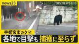 「宇都宮市の繁華街にクマ「うわすご！」　夜も捕獲に至らず　各地で目撃情報…周辺の学校では臨時休校【news23】」の画像1