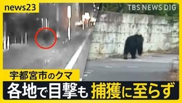 宇都宮市の繁華街にクマ「うわすご！」　夜も捕獲に至らず　各地で目撃情報…周辺の学校では臨時休校【news23】