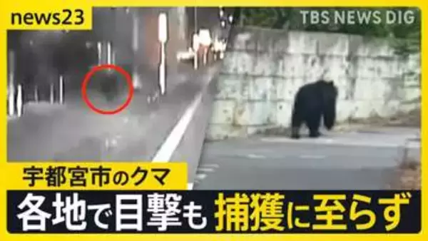 宇都宮市の繁華街にクマ「うわすご！」　夜も捕獲に至らず　各地で目撃情報…周辺の学校では臨時休校【news23】