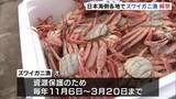 「冬の味覚“ズワイガニ” きょう兵庫県などで漁解禁」の画像1