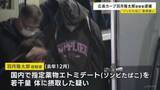 「広島カープ・羽月隆太郎容疑者を逮捕 “ゾンビたばこ”使用疑い　関係者からの110番通報で任意同行し尿検査→鑑定の結果、指定薬物と判明」の画像1