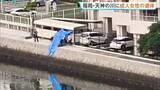 「「川に人が浮いているようだ」福岡市天神の那珂川に成人女性の遺体 Tシャツと短パン姿で額に裂けたような痕 事件や事故の可能性を視野に捜査」の画像1