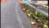 「道に大量のパンが不法投棄 なぜ？ 鳥取の国立公園敷地内で…周辺では熊の目撃も “謎の迷惑行為”」の画像1