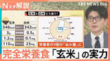 「“玄米ブーム”到来か「体のために食べる」専門店も　健康志向の高まりで「玄米」に注目！も…なぜ今？【Nスタ解説】」の画像1