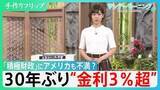 「長期金利30年ぶりに3%超　「高市政権『積極財政』に対する市場の警戒」　同じ3%でも30年前とは大きく違う厳しい現状・・　”外圧”も強まる中　日本の対応は？ 【サンデーモーニング】」の画像1