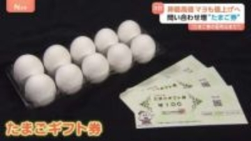問い合わせ増加“たまご券” たまごが最高値を記録 「配布はまだ？」“おこめ券”より欲しいとの声も