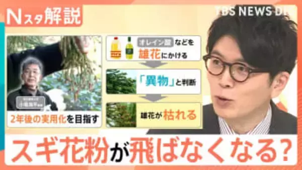 「雄花だけを枯らす」最新研究 スギ花粉が飛ばなくなる未来も…？くしゃみ・鼻水／鼻づまり…症状によって薬を使い分けを【Nスタ解説】