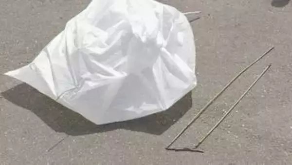 東武アーバンパークラインは運転再開 “カラスの巣”が原因で火災・停電か　男性1人がけが