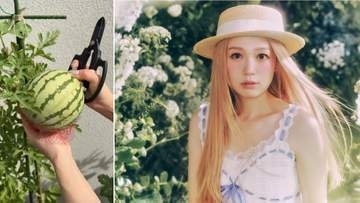 【 西野カナ 】「おいしっ」小玉スイカを〝家のベランダで収穫〟　切る時のかけ声「いきます！」にフォロワー「かわいすぎやろ」