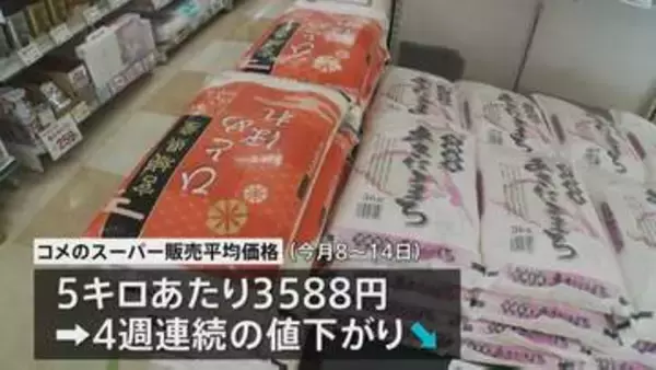 コメ平均価格 5キロあたり3588円　4週連続の値下がり　3500円台は約10か月ぶり