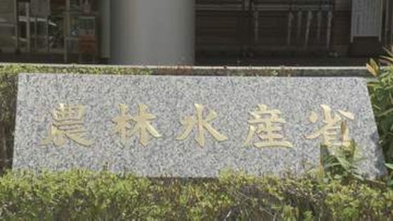 農水省が来年度予算の概算要求で約3.1兆円要求　消費減税の対応にかかる予算は金額示さない「事項要求」