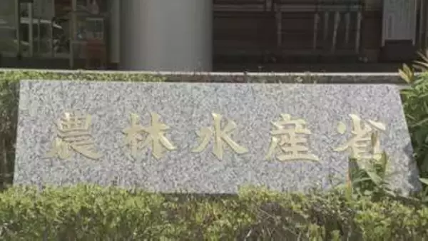 農水省が来年度予算の概算要求で約3.1兆円要求　消費減税の対応にかかる予算は金額示さない「事項要求」