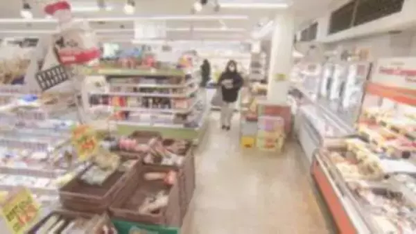 5月の食品値上げ70品目にとどまる　ナフサ供給不安から夏以降にも値上げ再加速の可能性も