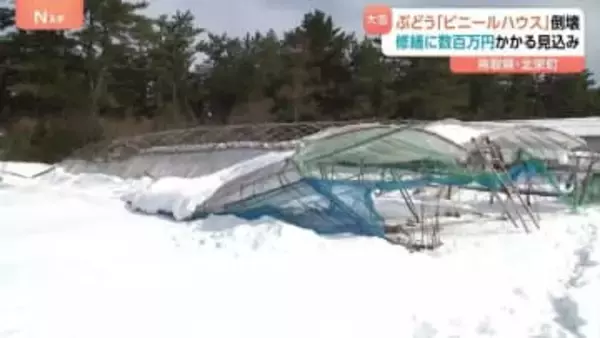 ぶどう「ビニールハウス」大雪で倒壊　修繕に数百万円かかる見込み　鳥取・北栄町　「幸田ぶどう園」
