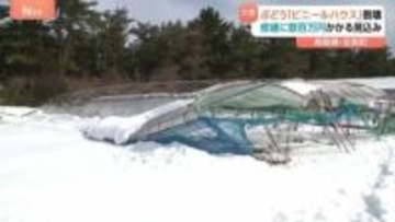 ぶどう「ビニールハウス」大雪で倒壊　修繕に数百万円かかる見込み　鳥取・北栄町　「幸田ぶどう園」