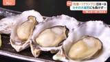 「日本一美味しいカキを決める「全国牡蠣－1グランプリ2026」 王者の座は誰が！？海水温上昇による大量死も…歴史的苦境に挑む生産者に密着！」の画像1