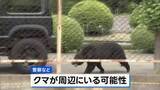 「男女4人襲って工場に居座ったクマ 自力で窓の鍵開けて逃走か　自ら蛇口開けて水飲む姿も…「極めて知能性のあるクマ」 福島市」の画像1
